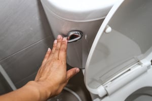 Flush your toilet without a water supply